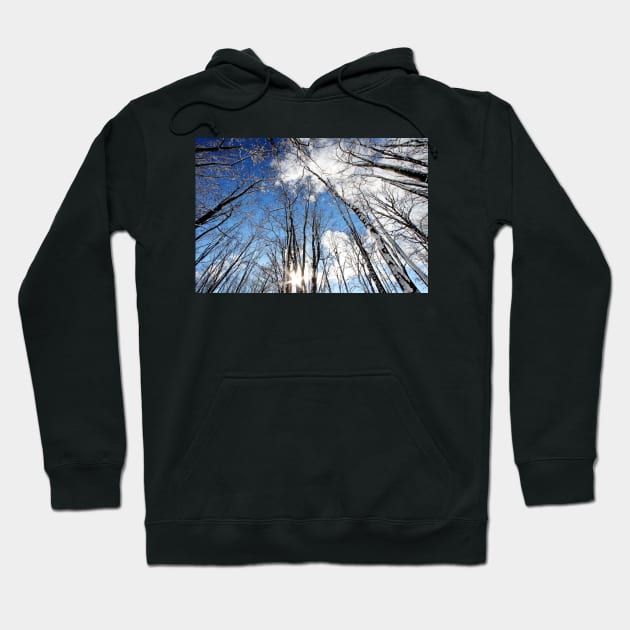 Trees Hoodie by ikshvaku